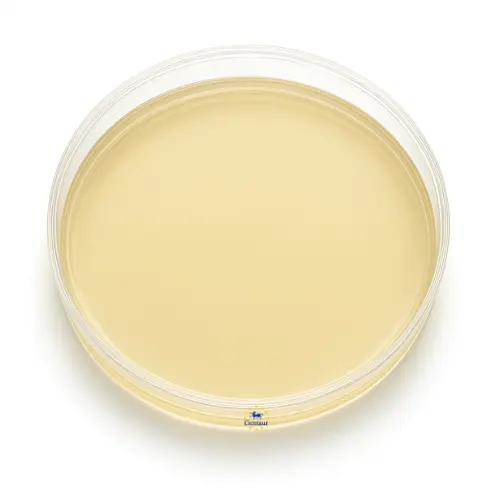 Agar Bacteriological